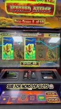 Wild adventure leopard edition bonus feature HUGE 280 X #casino #casinogame #arcade #gaming #slots