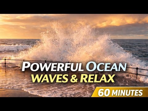 Sunset Ocean Waves 🌊 | 1 Hour of Natural Sea Sounds