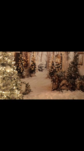 YOUR CHRISTMAS SET! | Virginia Lee Photography