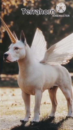 “2 Animals Mixed Into One! Unbelievable New Creature Reveal 🐾✨”