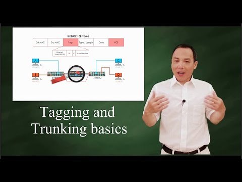 IEEE 802 1Q: Tagging and Trunking 101