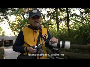 索尼A9、RX10M4 鸟类拍摄-零基础大师班第1季-03 Sony A9,RX10M4 Shooting birds
