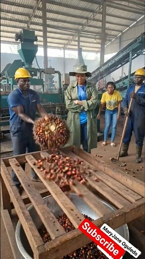 Frying Oil🫕 ... Never let the Oil Smoke; How to Reuse Oil Safely! 🥸✍
