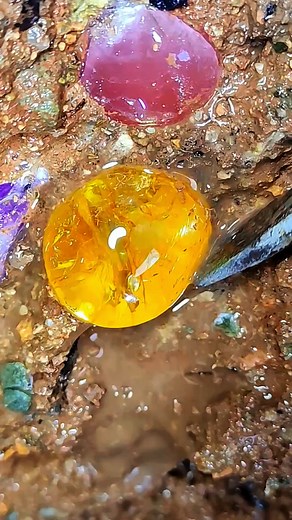 Look at the intense orange glow of these spessartite garnet cabochons! It's like holding tiny suns. What's your favorite gemstone color that just radiates energy? Share below! 👇 #SpessartiteGarnet #Garnet #OrangeGem #FieryGems #GemstoneLover #Cabochon | SocialSphere Central