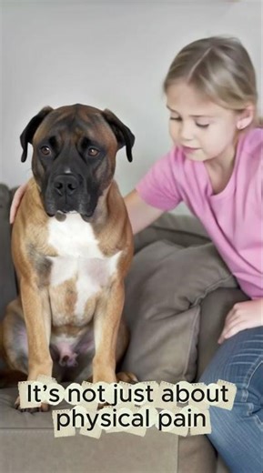 How Dogs Feel When Hurt by Their Owners | Understanding Your Dog’s Emotions #youtubeshorts #pets