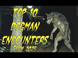 (E.128) 3 Hours of the Best Dogman and Werewolf Encounters of 2025