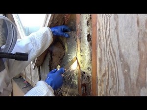 Electrified bee hive. What happens when you cut a wire hidden in honey comb