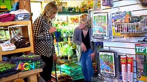 4.9K views · 91 reactions | Raising chickens in the city continues to be a popular trend. It's something Kendall is fascinated by... so she stopped by Egg|Plant Urban Farm Supply in St. Paul. She even got a chance to test out a chicken harness... on an actual chicken. | The Jason Show | Facebook