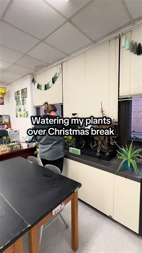 Have to get the plants watered 💛 #science #teacher #plants #propogation #classroom