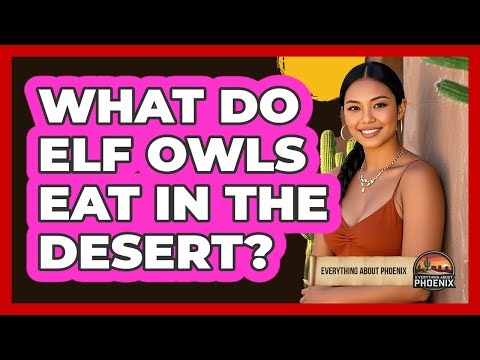 What Do Elf Owls Eat In The Desert?