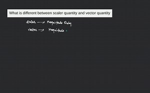 What is different between scaler quantity and vector quantity... | Filo