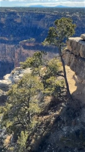 The canyon looks dramatically different without railings. People love walking right out to the edge and experiencing the raw, unfiltered view. It's an unforgettable connection with nature. #GrandCanyon #ScenicViews #NaturePhotography #TravelAdventures | Ultimate Park Guide Inc.
