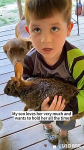 Kind women rescued baby rabbit in distress and then adopted it in her loving home.#kindness #pets | Bond Nature