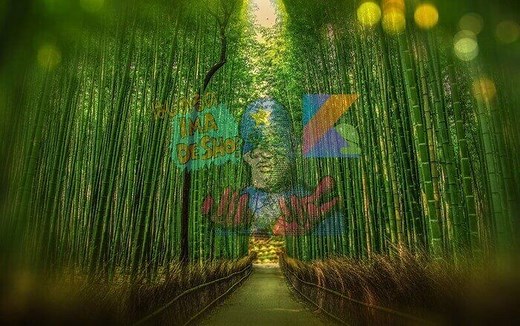 [Android]端末の戻るボタンを使えなくする方法(onBackPressed) – みんプロ式 – 40代からの初心者向けスマホアプリ開発講座（Flutter）