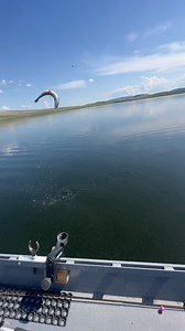 Always a good idea to hold onto your rod when using the Deep Line Chironomid technique. Very slight lifts on your rod will help you detect the takes when they are soft. 20ft deep to airtime in 2 seconds…so cool!!! . . . . . @officialmauijim @troutwaters.ca @welovehardyflyfishing @authentictshirtcompany @scientificanglers #bobberdown #chironomids #troutflies #flytyingnation #flyfishingbc #chironomid #sfotf #sportfishingonthefly #troutfly #flytying #flyfishing #midges #hardyflyfishing #mauijim #tr
