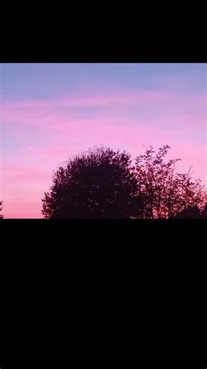 phoeb in phoebe (@phoebeellis4)’s videos with original sound - Christmas Countdown🤶