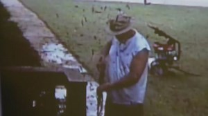 81-year-old man attacked by fire ants