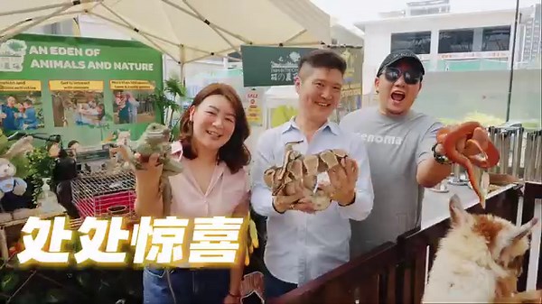 7.4K views · 29 reactions | #FUN市集...