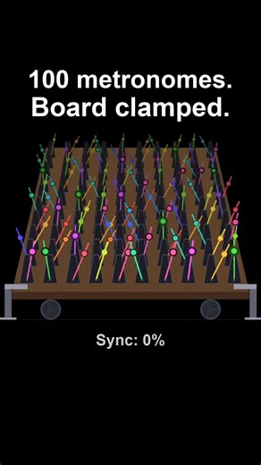 What happens when you put 100 metronomes on the same moving platform and let physics do its thing? 🤯⏱️ At first, every metronome ticks at its own rhythm, creating a seemingly random cacophony of clicks. But as the platform moves with each swing, the tiny interactions between the metronomes begin to add up. Slowly, individual rhythms start to influence one another, and what once looked like chaos begins to transform into coordination. Without communicating or being individually adjusted, these 1
