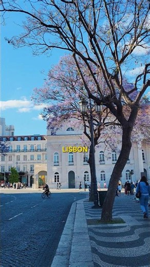 A Hot Spring Day in Lisbon PORTUGAL