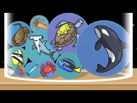 Fish Merge: Ocean Drop Puzzle - Watermelon Fish Game, Merge Whale, Merge Shark, Merge Puzzle!