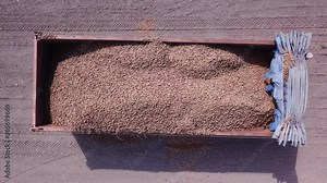 Trailer loaded with Almonds in shell freshly collected in an agricultural field. Drone Pull up shoot.