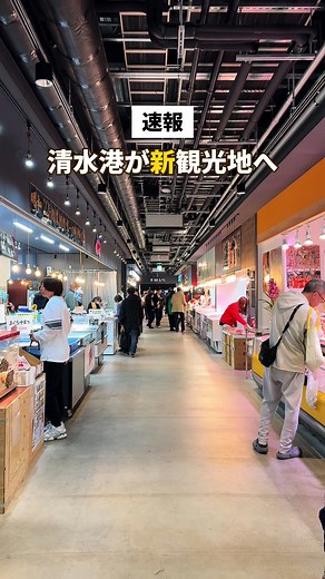 清水港の観光とグルメ体験ガイド
