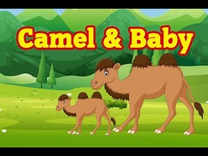 Camel And Baby | Moral Story For Kids