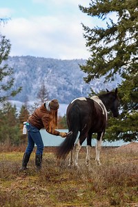A little extra love for the horses and a little arm workout for Sarah! Mane n’ Tail Detangler keeps them looking flawless and knot-free! 🐴✨Mane 'n Tail #grooming #horselover #manentail #detangle #satisfying #horsegrooming #horselove #horselife #horsereels #horse #TLC | Three Bandit Ranch