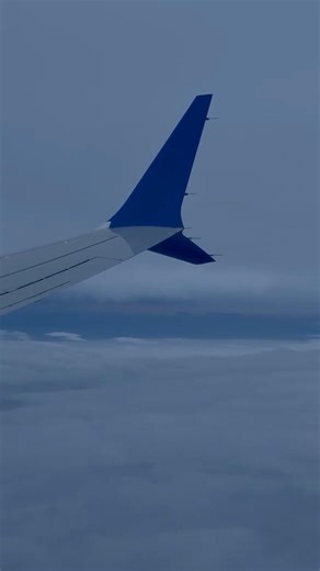 UNITED BOEING 737 max 8 WINGLET ✈️ inflight view on wing tip in sunset cloud on flight