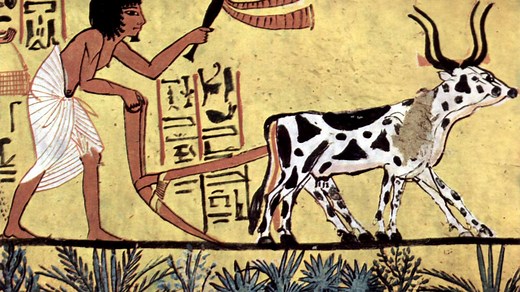 8 agricultural inventions that changed the world forever