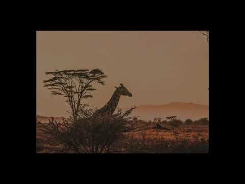 KING OF PRIDE ROCK/CIRCLE OF LIFE (Instrumental)