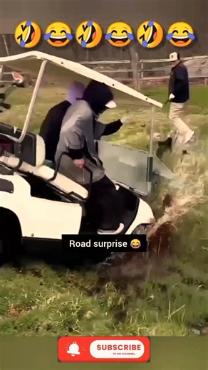 😂 epic funny fails videos 😂 #funnydoes #shorts #youtubeshorts #funny