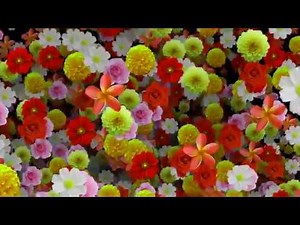 Mix Flowers Youtube Video