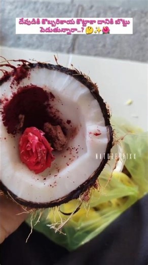 కొబ్బరికాయ కొట్టాకా దానికి బొట్లు పెడుతున్నారా? 👉🤔#views_viral_video_subscribers_grow #shorts