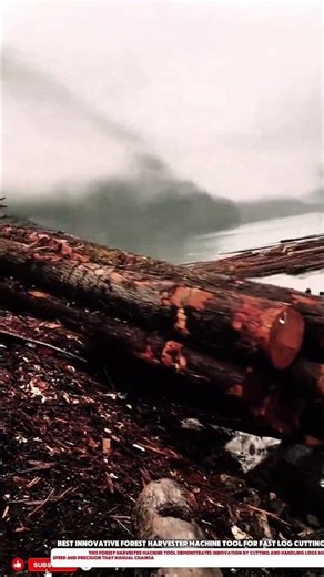 Best Innovative Forest Harvester Machine Tool for Fast Log Cutting