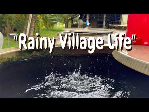“Peaceful Rain in Cambodian Village 🌧️🌿 Kampot Countryside Life”