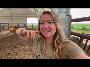 Cow/Calf barn update, bulls & more | Day in the life of a 26 year old farmer | farm vlog