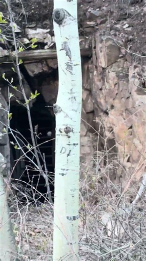 Exploring a old miners cave in La plata canyon (P 1)