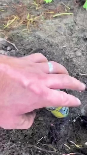 How to Fix Sprinklers with Articulated Risers Guide