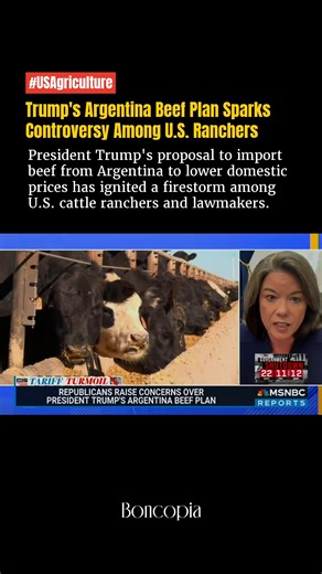 Trump's Argentina Beef Plan Sparks Controversy Among U.S. Ranchers President Trump's proposal to import beef from Argentina to lower domestic prices has ignited a firestorm among U.S. cattle ranchers and lawmakers. Rep. Angie Craig recently criticized the plan, highlighting a staggering $800 million trade deficit in beef imports over the past five years. With Argentina's beef exports to the U.S. surging by 41% from January to July 2025, American producers are feeling the squeeze as domestic pric