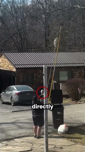 2 man vs hornet nest