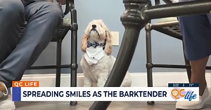 Senior living community donates 400 pet items to animal shelters