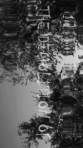 Marine Corps Base Hawaii on Reels