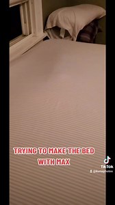 Max decided to help make the bed https://www.tiktok.com/t/ZTRwNftvh/ | Kuma Style | Facebook