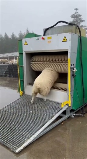 Inside the Future Meat Machine — No Humans, No Blood, Just Technology