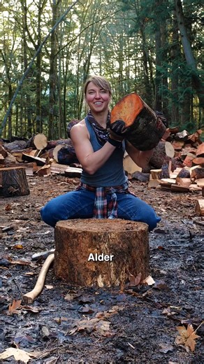 Alder: Hard wood... easy split