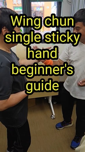 Wing Chun single sticky hand intro