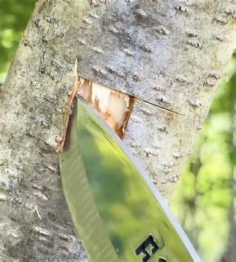 12K views | Garden boost with a simple plant hack | Transformazing | Facebook