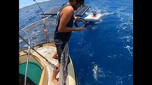 12K views · 402 reactions | The best sea glass beaches from 8️⃣ countries in 4️⃣ minutes - Which place would you love to visit the most?  | LC's Glass | Facebook